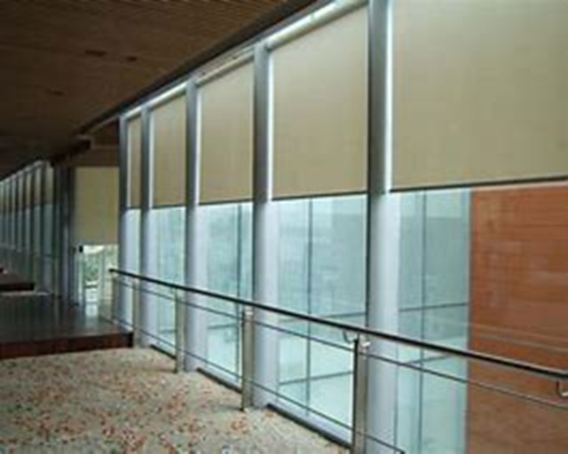 1695201936869156.jpg OIP-C (2).jpg